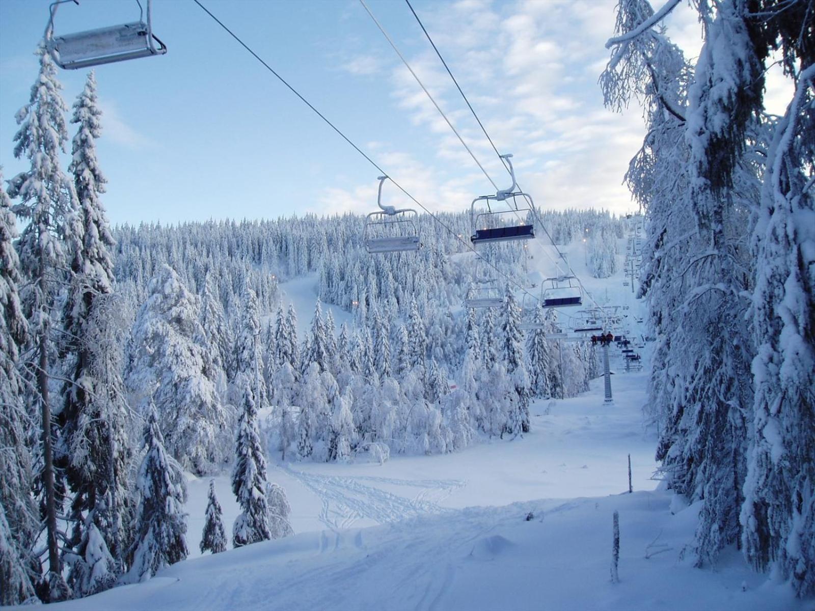 Holmenkollen Forest House Free Parking Apartment ออสโล ภายนอก รูปภาพ