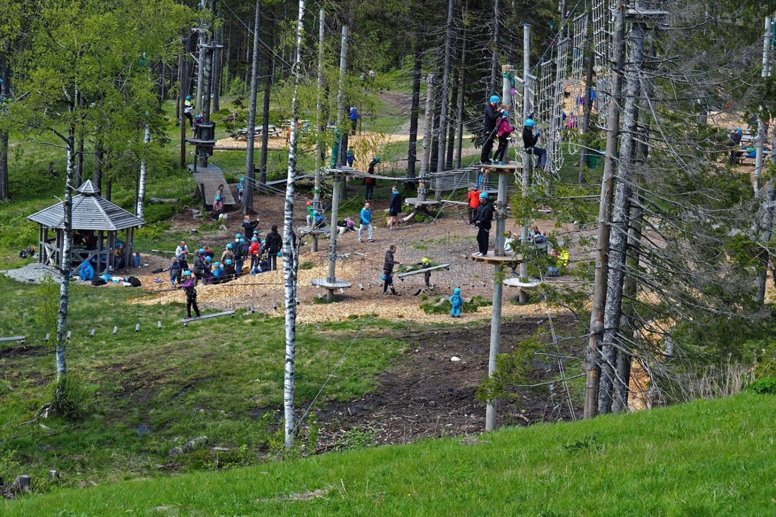 Holmenkollen Forest House Free Parking Apartment ออสโล ภายนอก รูปภาพ