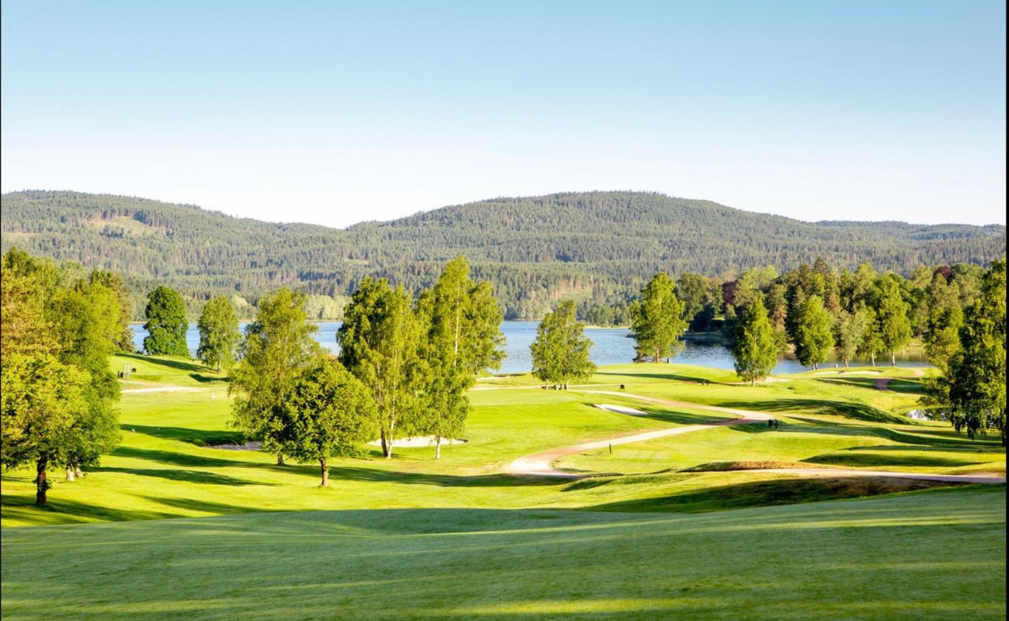 Holmenkollen Forest House Free Parking Apartment ออสโล ภายนอก รูปภาพ